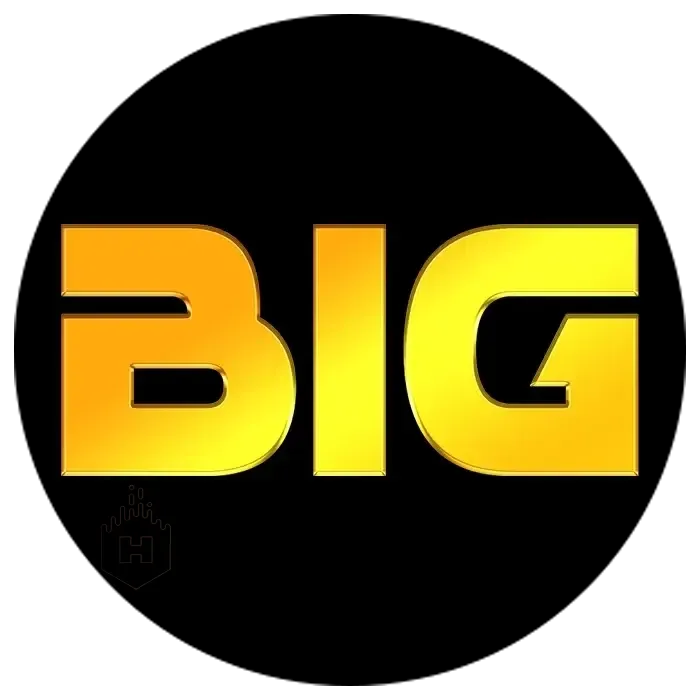 BIGHOKI - Aplikasi Download Musik Terbaik untuk Anda